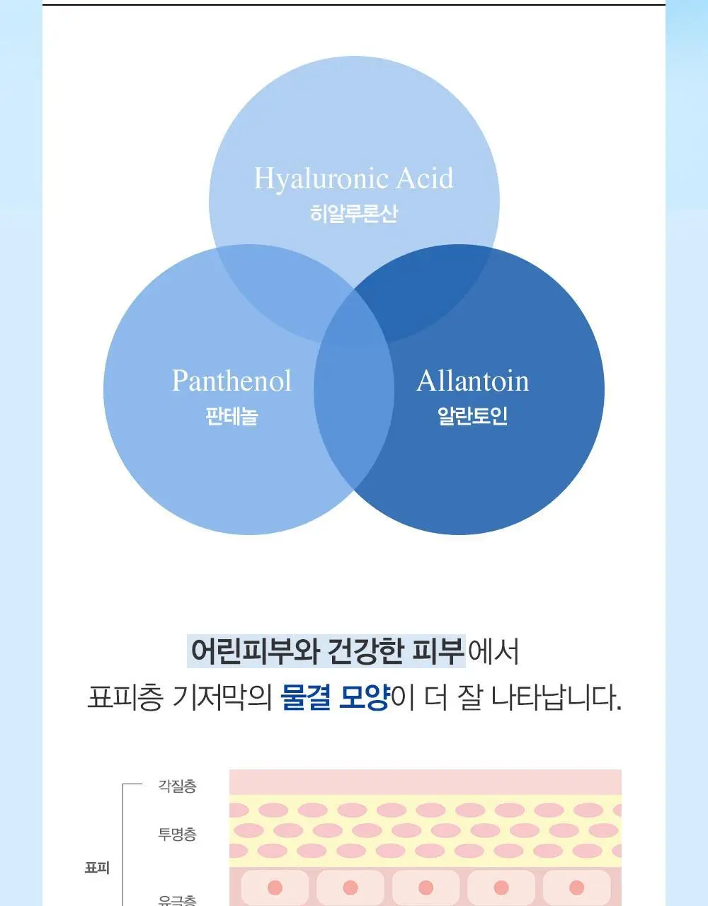 [수분/진정] 더마토리 모델링 팩 단품 2종 택1(시카/히알샷) 상세페이지 41